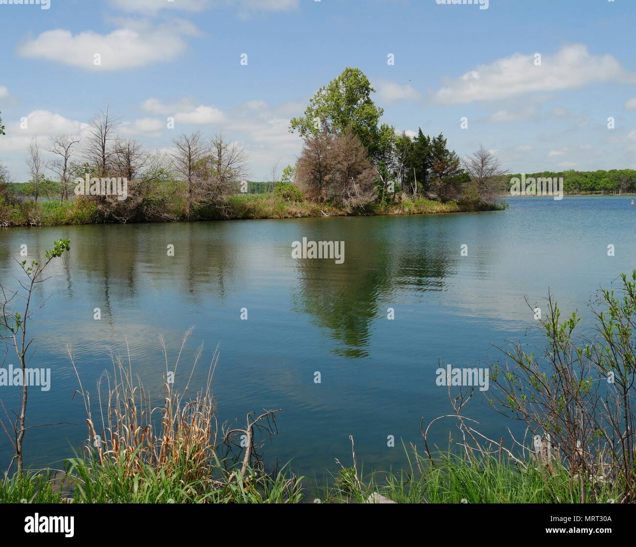 Lake Ellsworth is located in the Comanche County, Lawton and provides