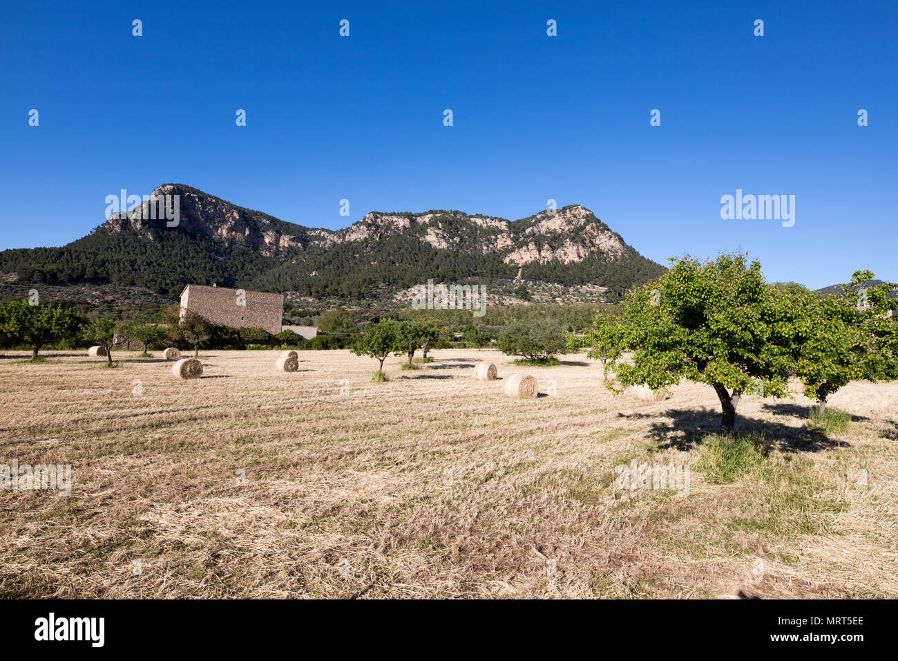 Mallorca coutryside, Balearic islands Spain Europe Stock Photo