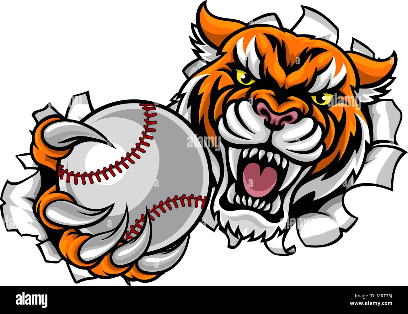 Tiger Holding Baseball Ball Breaking Background Stock Vector