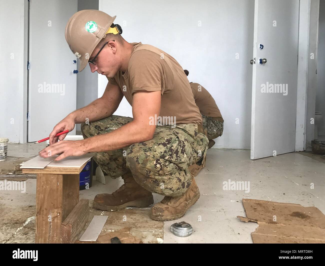 Project zebro hires stock photography and images Alamy