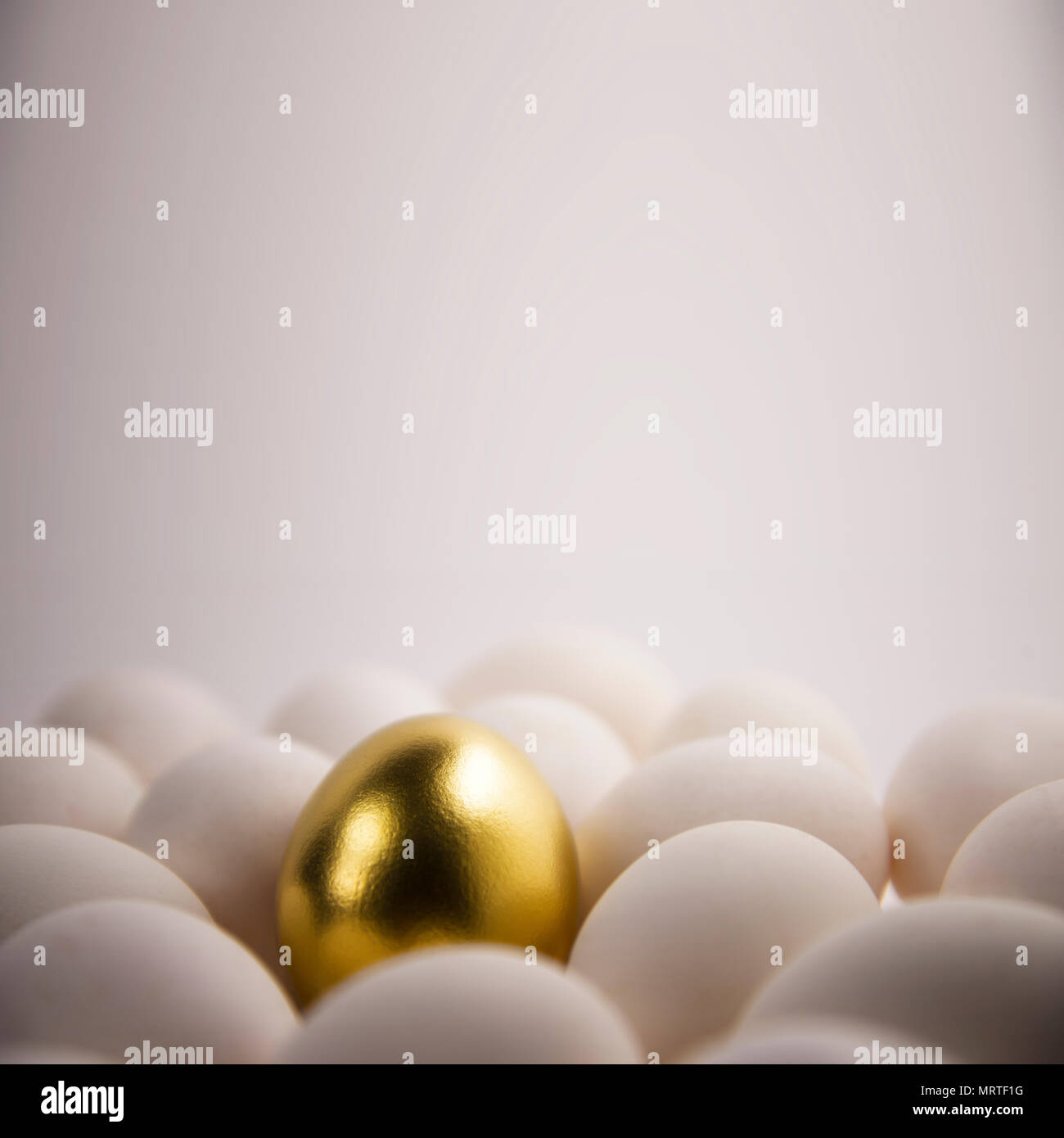 Hen with golden egg hi-res stock photography and images - Alamy