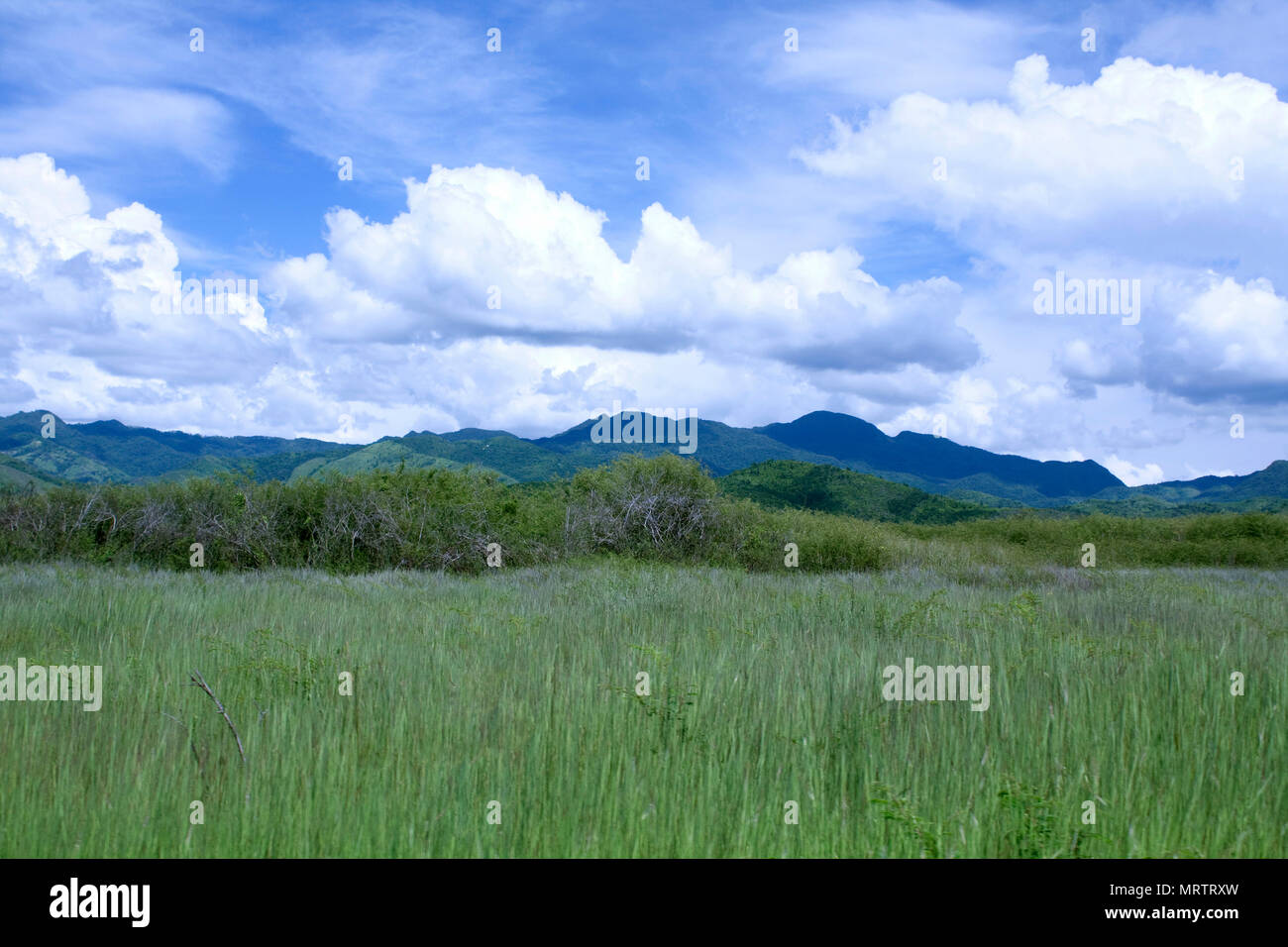 Beautiful view of thick clouds flowing over green field and distant hills in outskirts of Trinidad, Cuba. Stock Photo