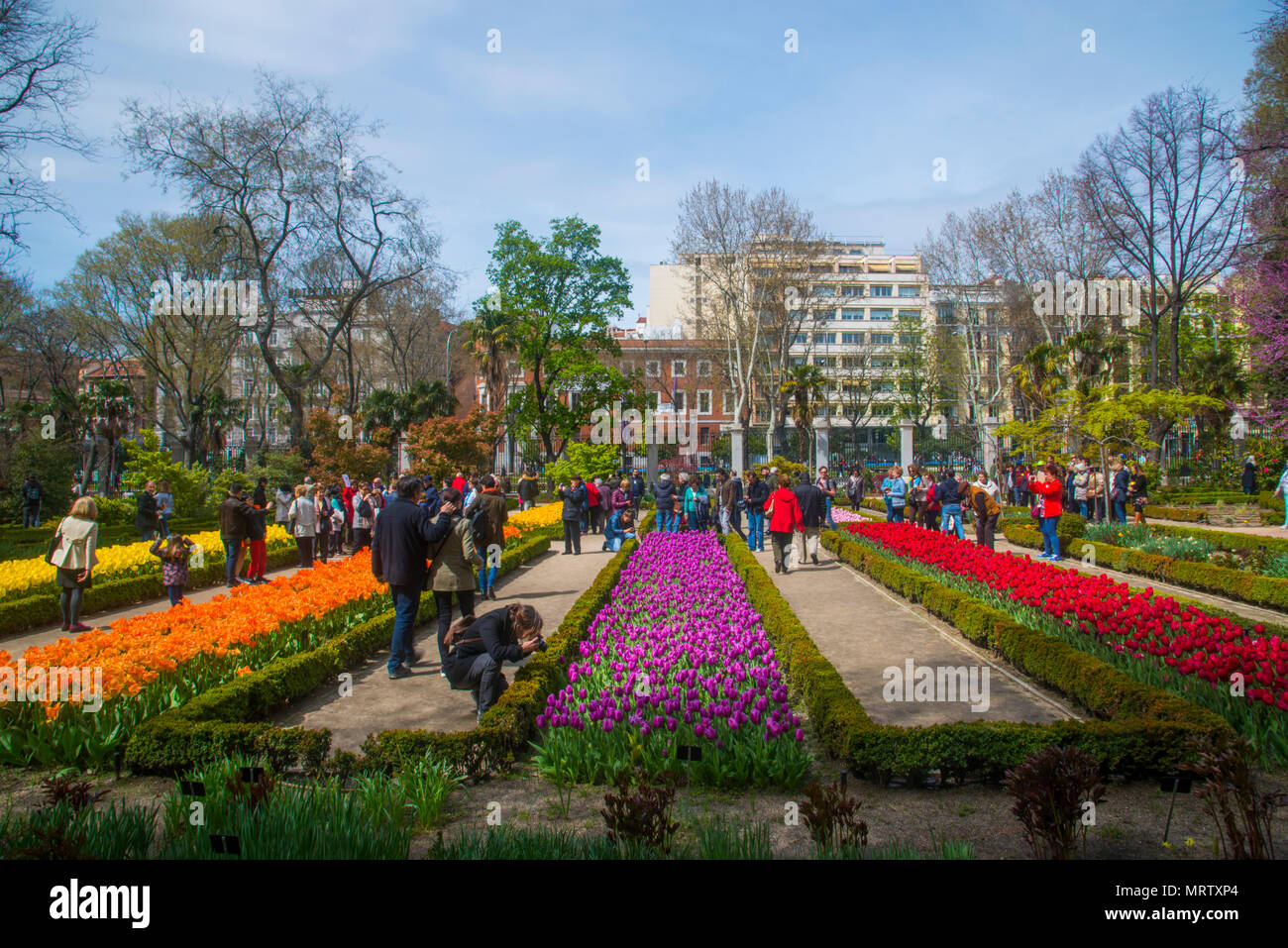 People visiting the Botanical Garden. Madrid, Spain. Stock Photo