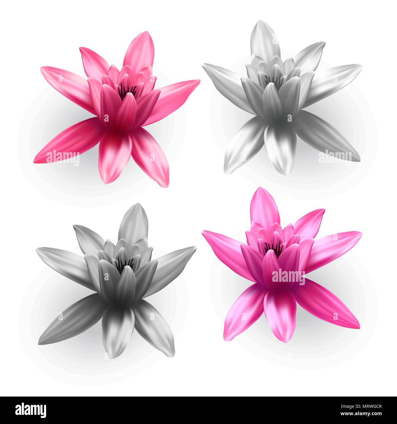 Set of Lotus flowers. Stock Vector
