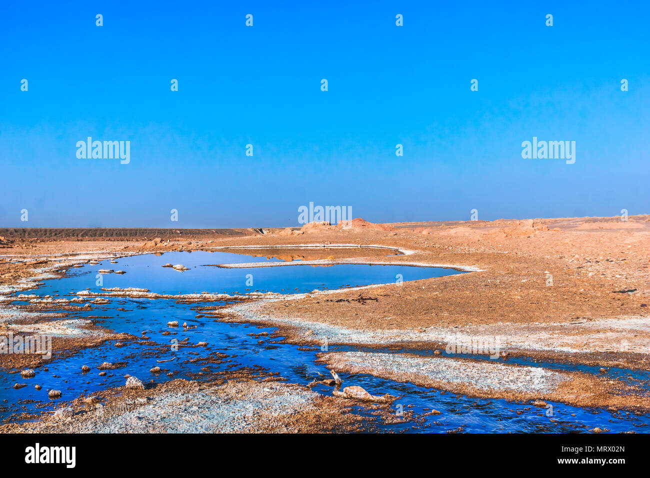 View on freshwater spring in the desert of Iran Stock Photo - Alamy