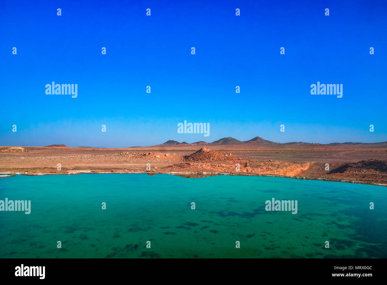 Freshwater spring hi-res stock photography and images - Alamy