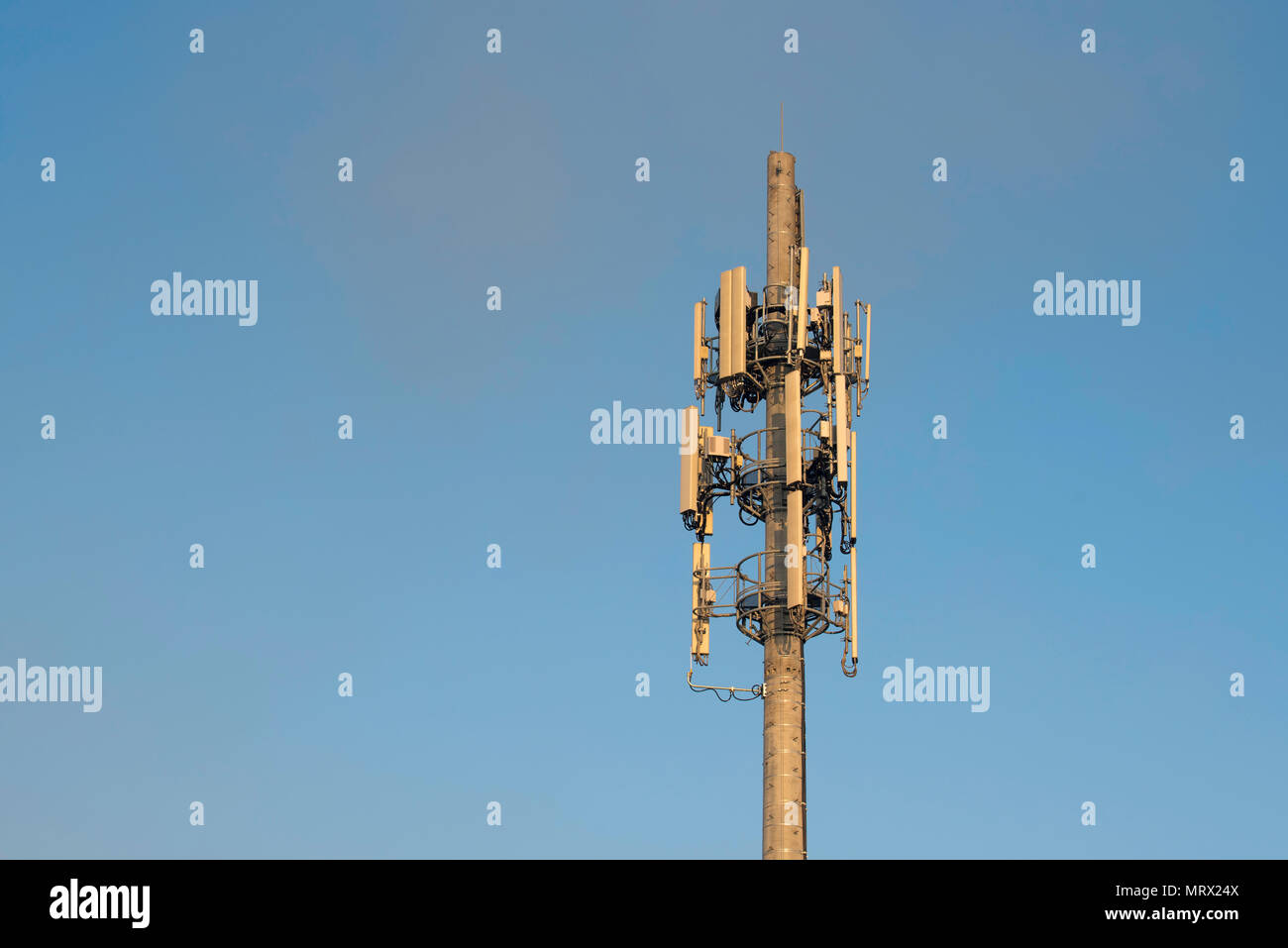 A cell phone or mobile phone tower in Sydney NSW, Australia Stock Photo