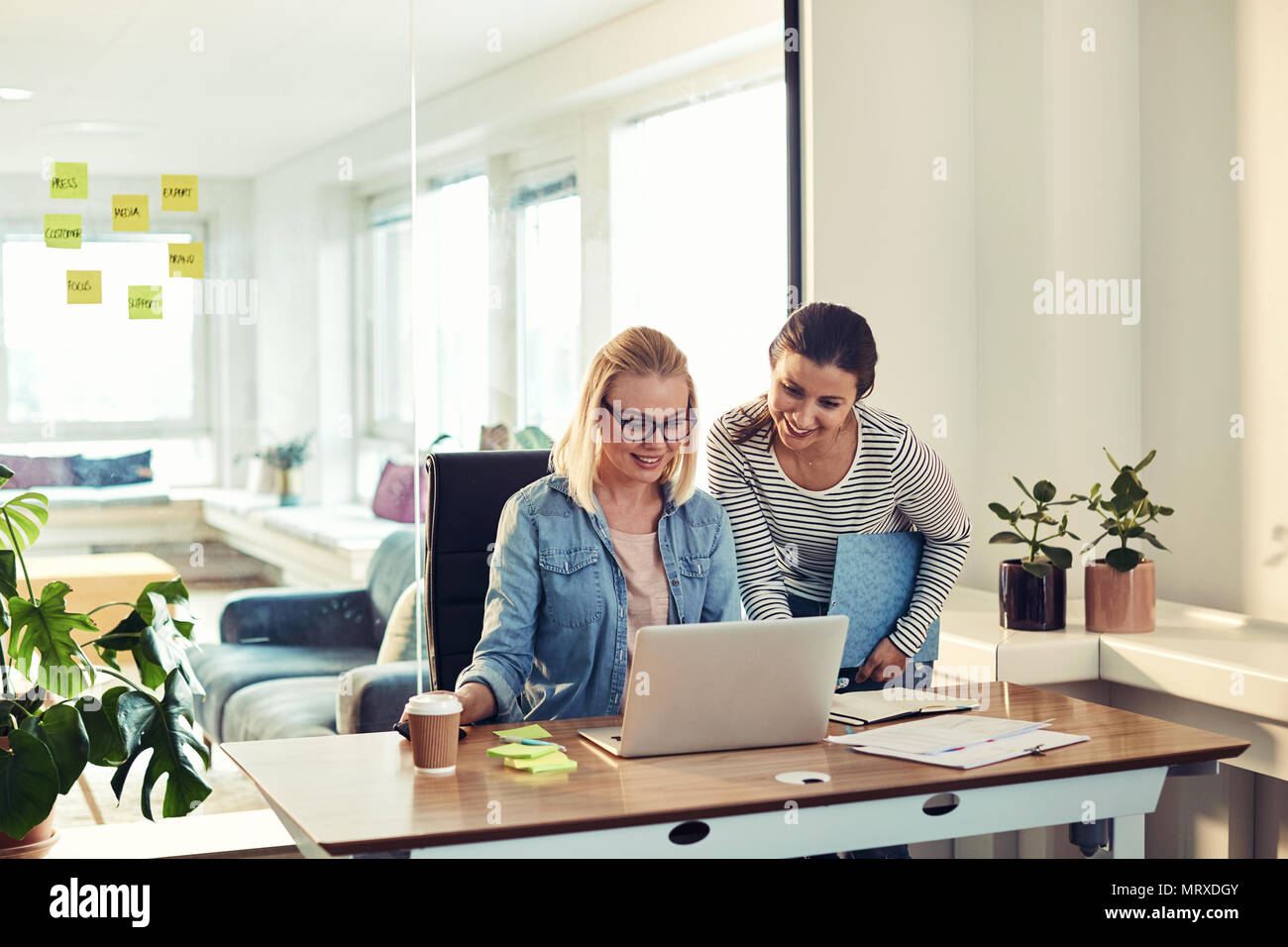 Two smiling young businesswomen working together at a desk in an office ...