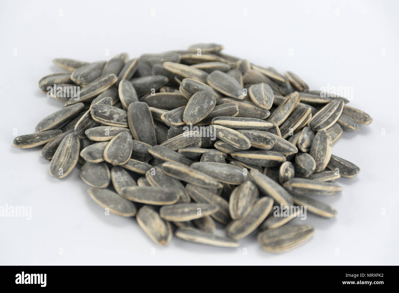 Sun flower seeds on a white background Stock Photo