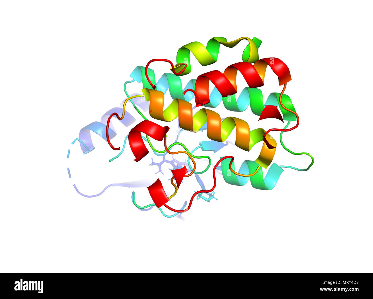 The crystal structure of the tumor marker protein. The 3D model of the