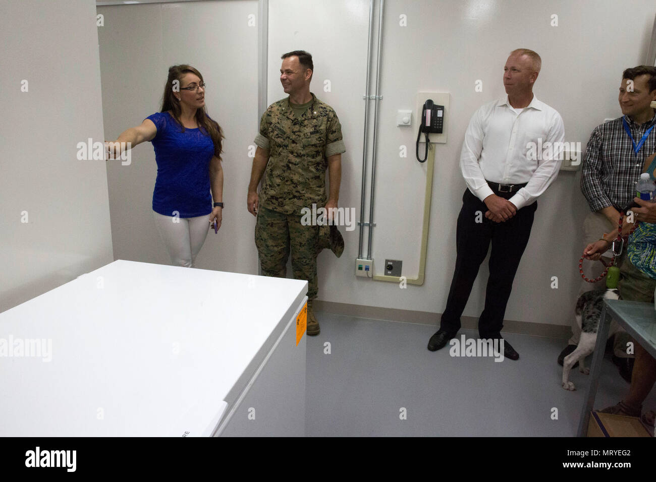 Army Veterinary Clinic High Resolution Stock Photography And Images Alamy