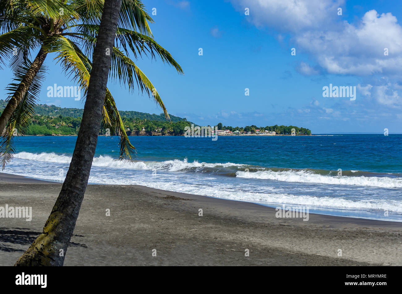 Black beach with palms in the foreground on Basse-Terre, Guadeloupe, French antilles Stock Photo