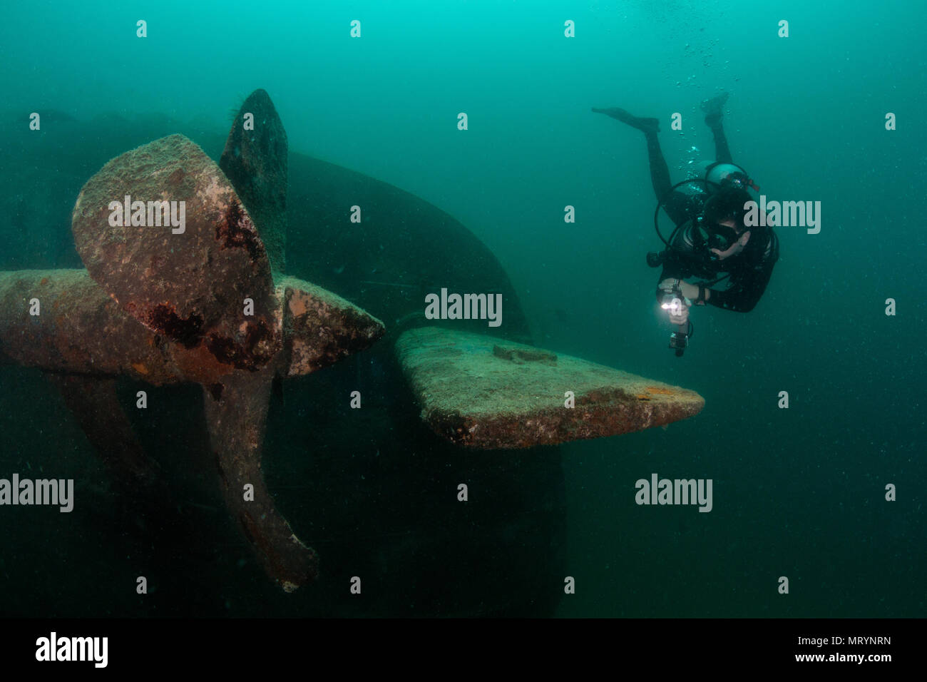 A scuba diver inspects the propeller of the C-59 shipwreck near La Paz, Mexico. Stock Photo