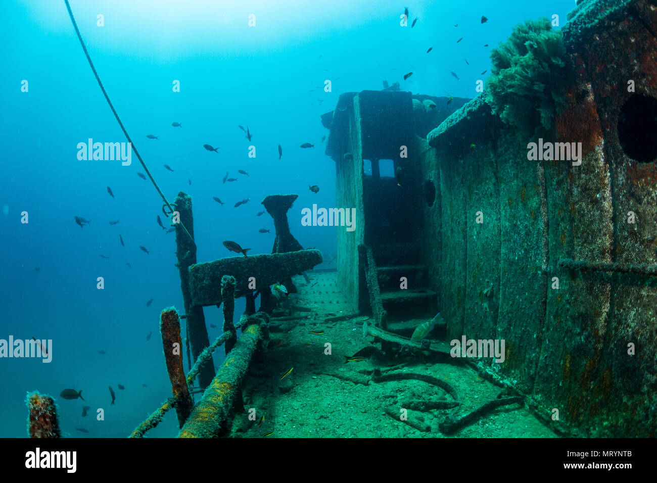 A view of a railing along the sunken Fang Ming shipwreck near La Paz, Mexico. Stock Photo