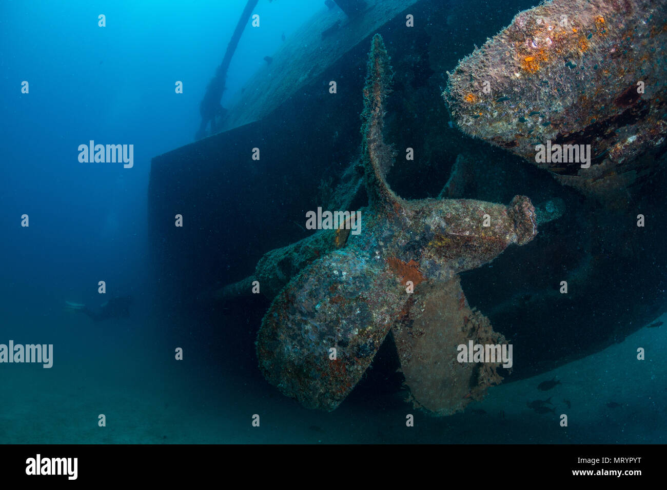 A view of the propeller of the C-59 shipwreck laying on the sand near La Paz, Mexico. Stock Photo