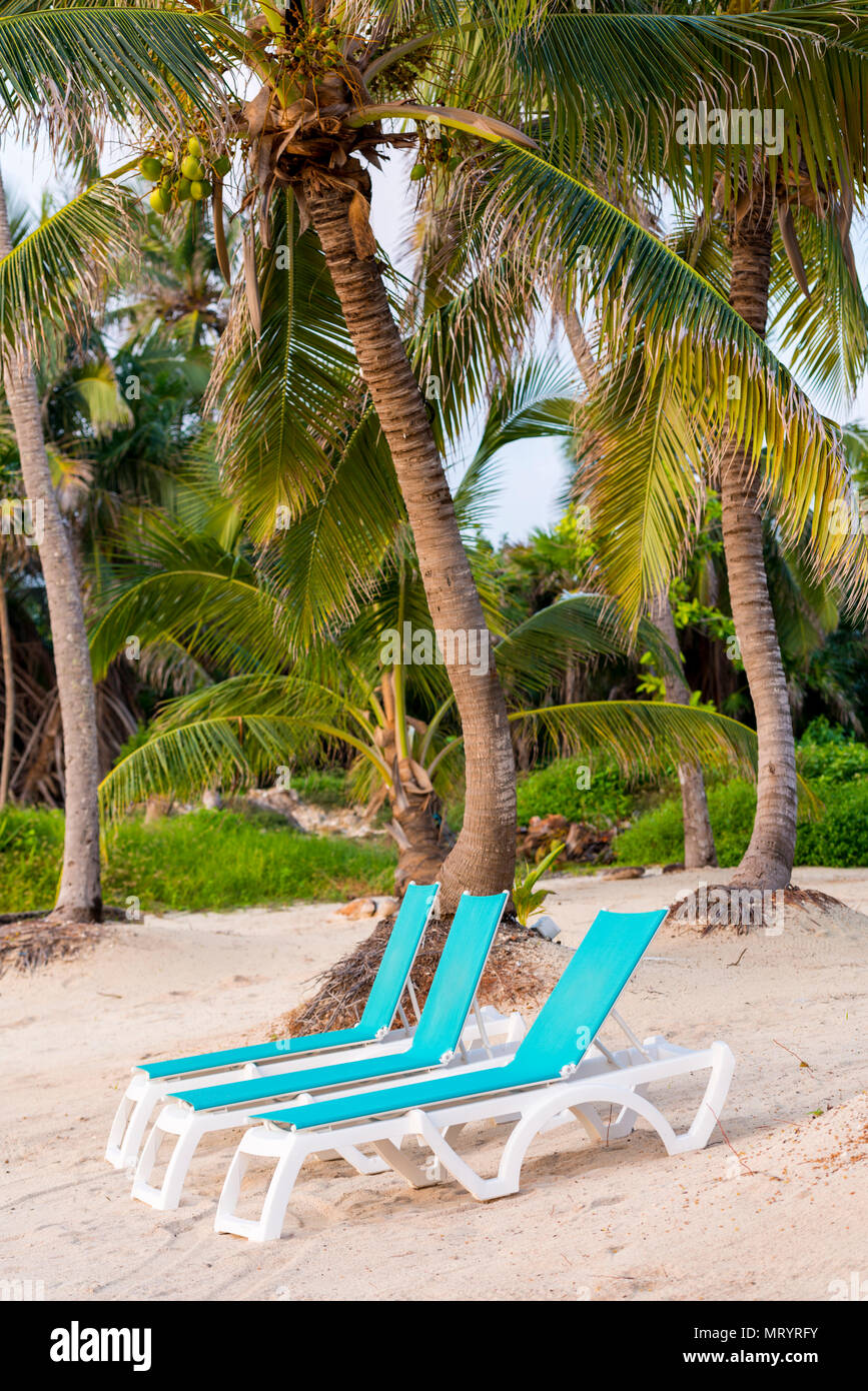 Banana Lounge Chairs In A Paradise Sand Beach With Tropical
