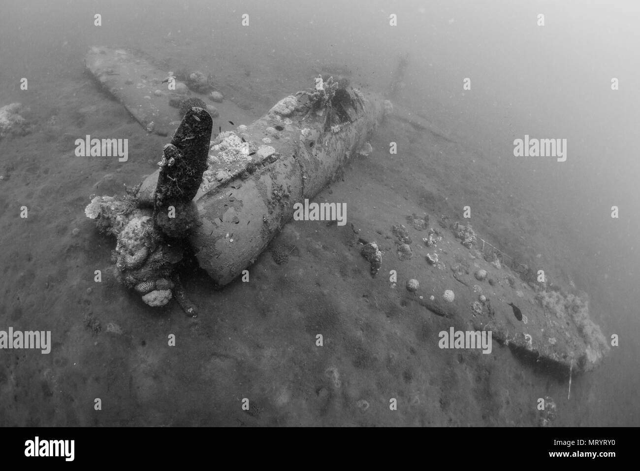 An underwater airplane wreck named the 'Zero' lies on the sand in Kimbe Bay, Papua New Guinea Stock Photo