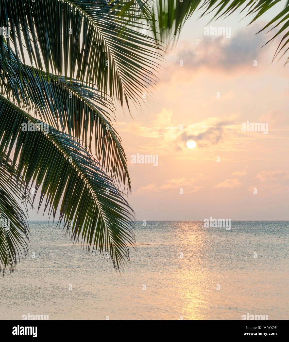 Island background hi res stock photography and images Alamy