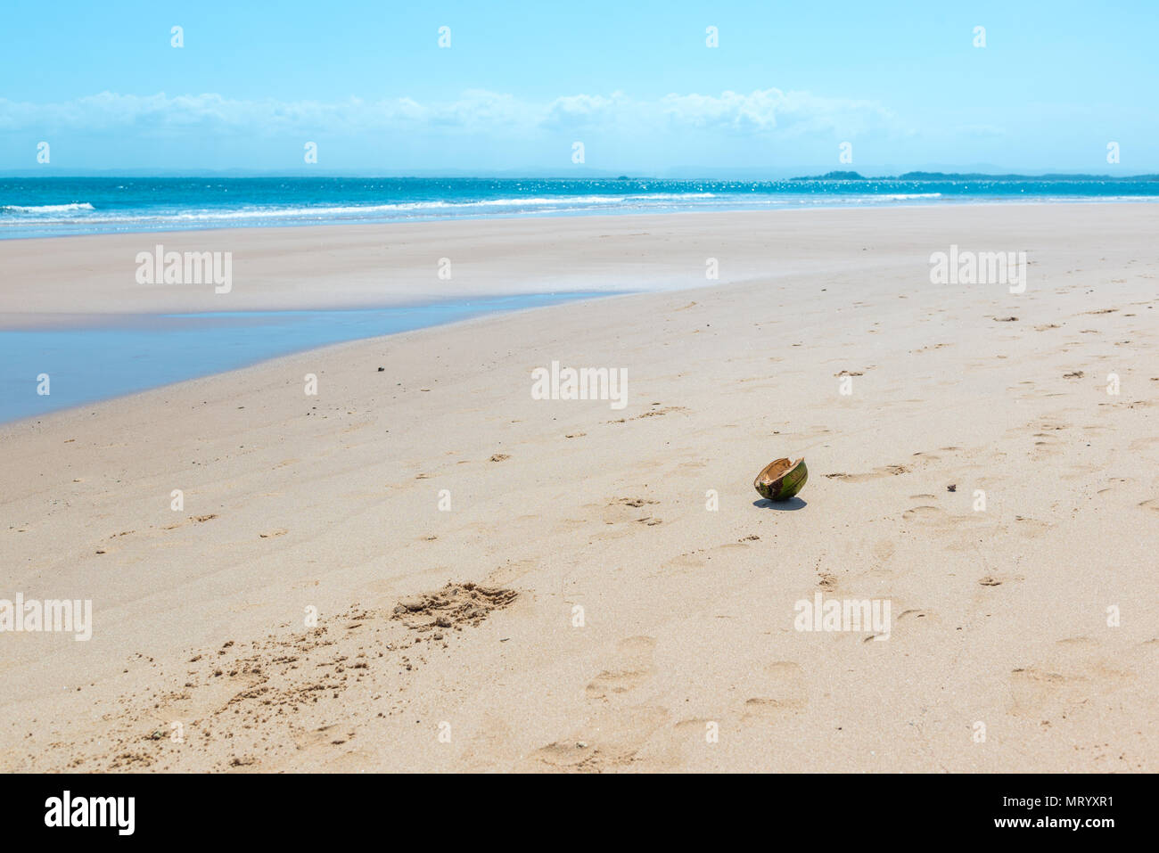 Cutted dried coconut over the beach sand ground Stock Photo Alamy