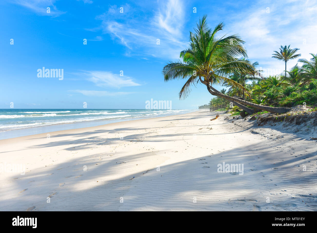 Palm tree shadow on beautiful sandy beach with palm trees Stock Photo ...