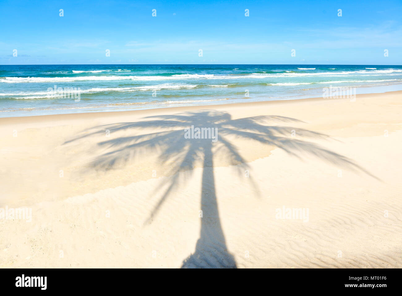 Palm tree shadow on beautiful sandy beach with palm trees Stock Photo ...