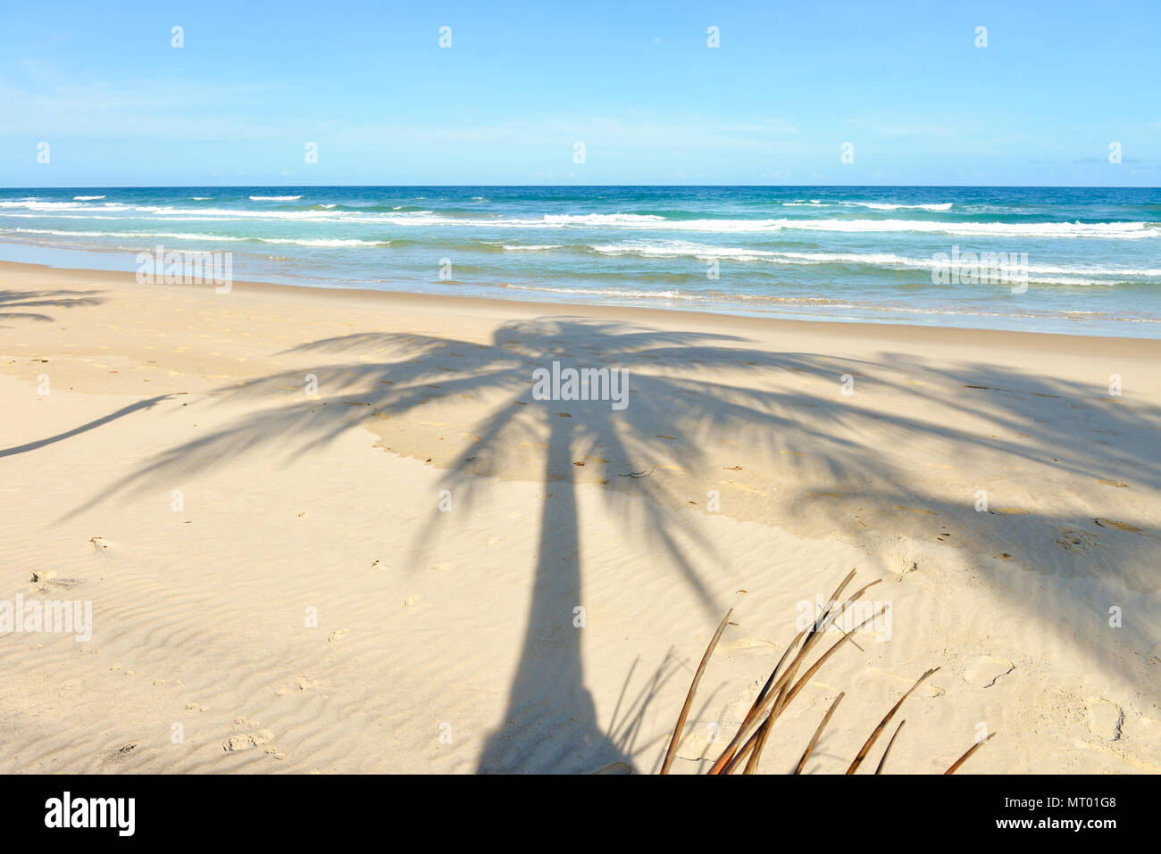 Palm tree shadow on beautiful sandy beach with palm trees Stock Photo ...