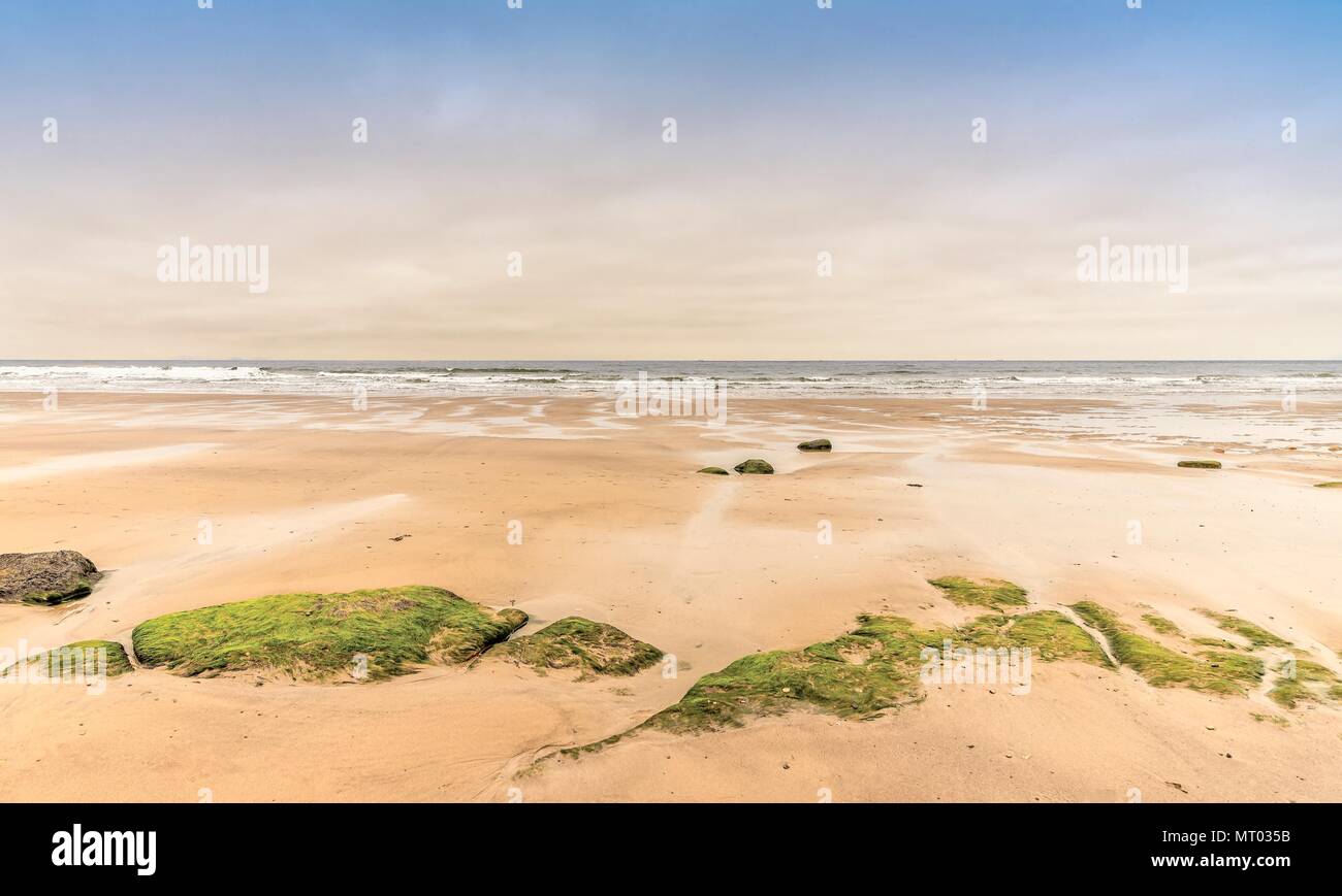 Beach at low tide with rocks and sand channels Stock Photo - Alamy