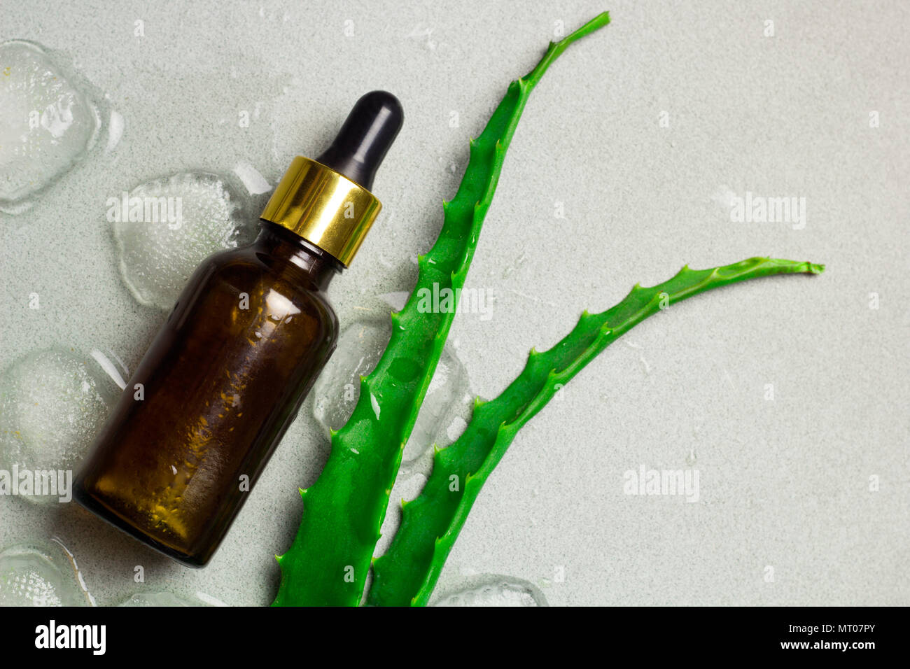 top view cosmitic product brown glass bottle with aloe vera and ice an a gray background copy space Stock Photo