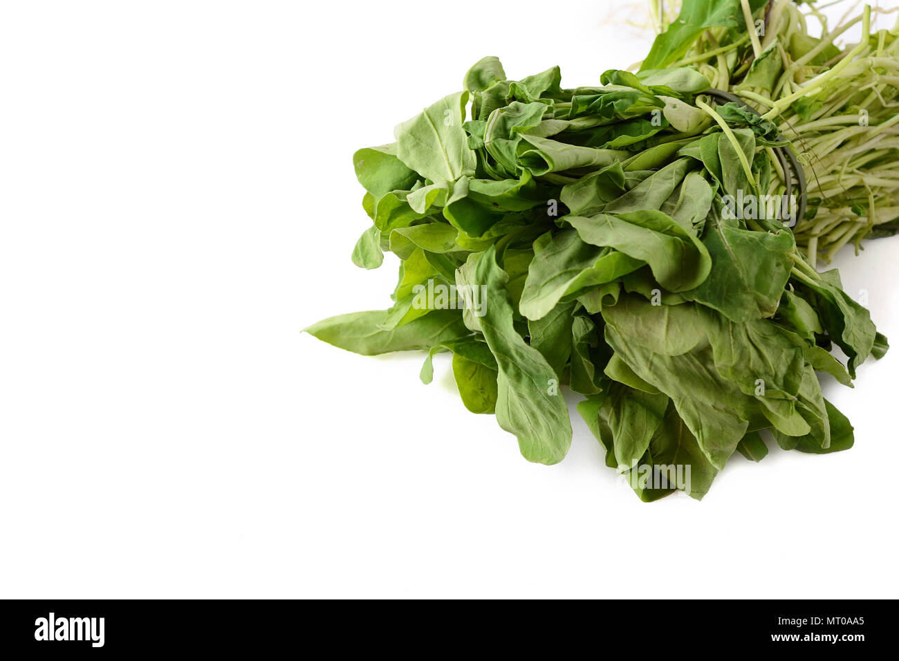 Fresh arugula leaves. Organic concept. Isolated white background Stock Photo