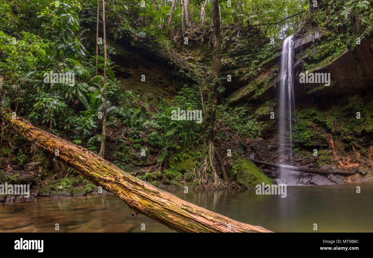 A long exposure shot of the most speacil waterfall and pool deep in Lambir Hill National Park near Miri, Borneo, Malaysia. Stock Photo