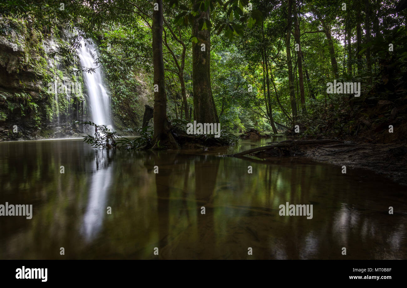 Paku Waterfall on the edge of the World Heritage site Mulu National Park, Malaysai, Borneo. Stock Photo