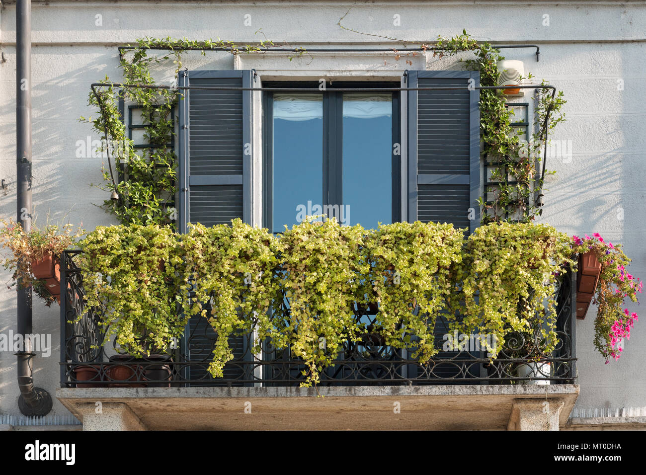 balcony adorned with vibrant green and flowering plants cascading over ...