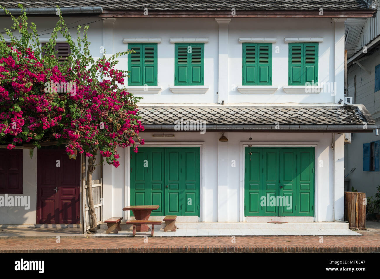 Flowering tree and old French colonial era building at the old town in Luang Prabang, Laos, on a sunny day. Stock Photo