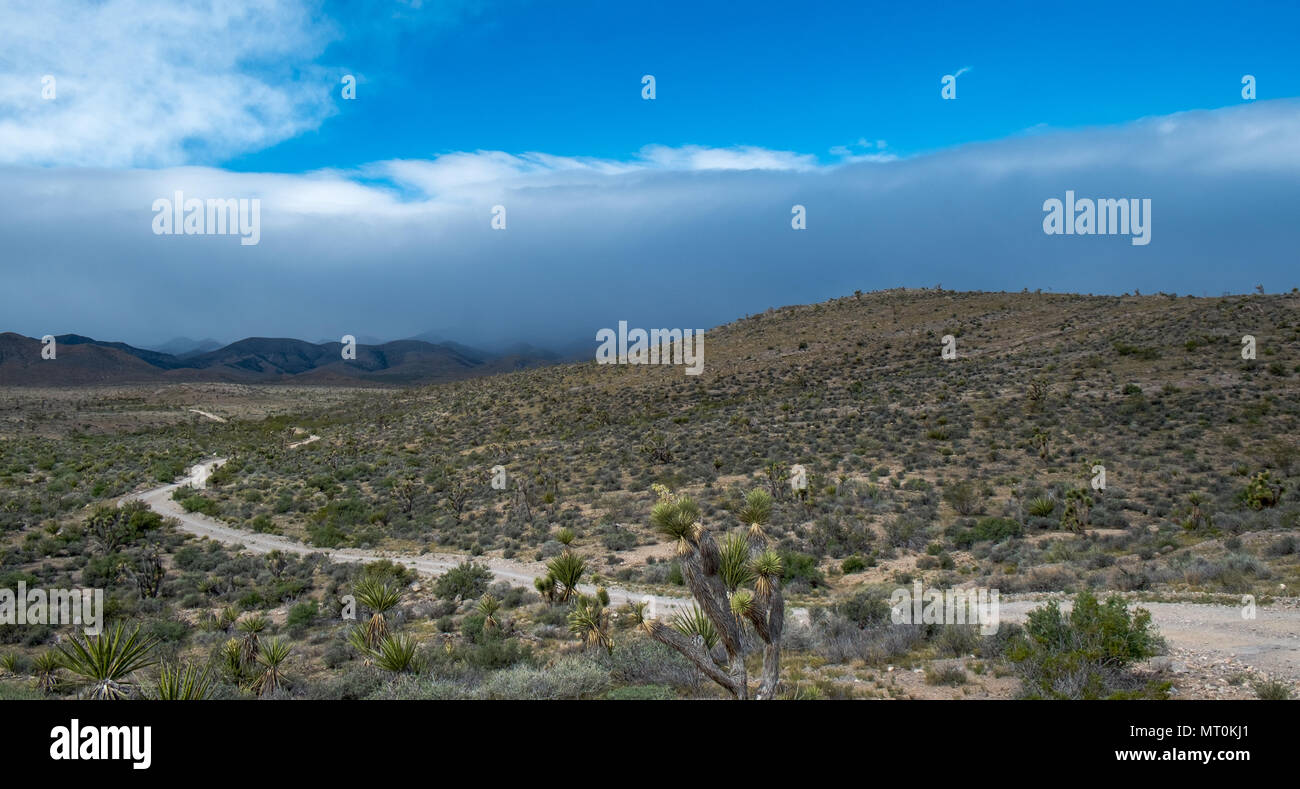 A dirt road curves towards distant hills obscured by rain. Desert National Wildlife Refuge, Clark County, Nevada, USA. Stock Photo