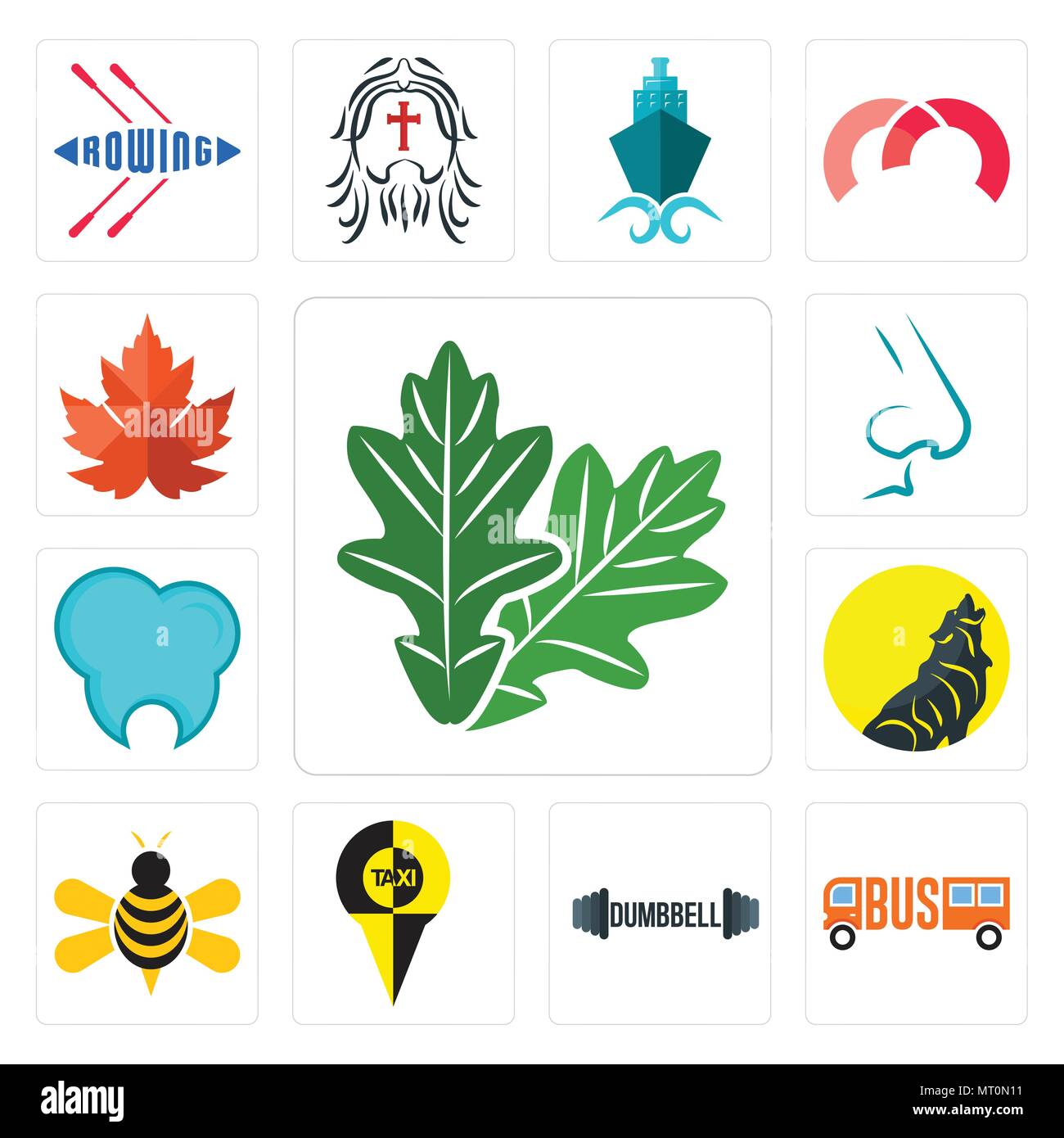 Set Of 13 simple editable icons such as oak leaf, , dumbbell, honey bee, dental clinic, nose, maple leaf can be used for mobile, web UI Stock Vector