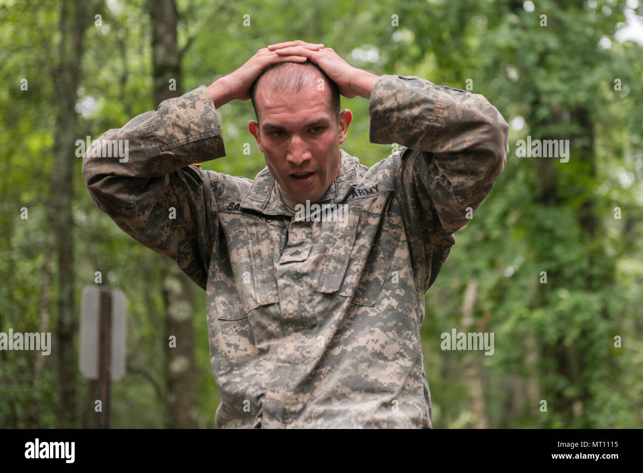 Cavalry scout role hi-res stock photography and images - Alamy