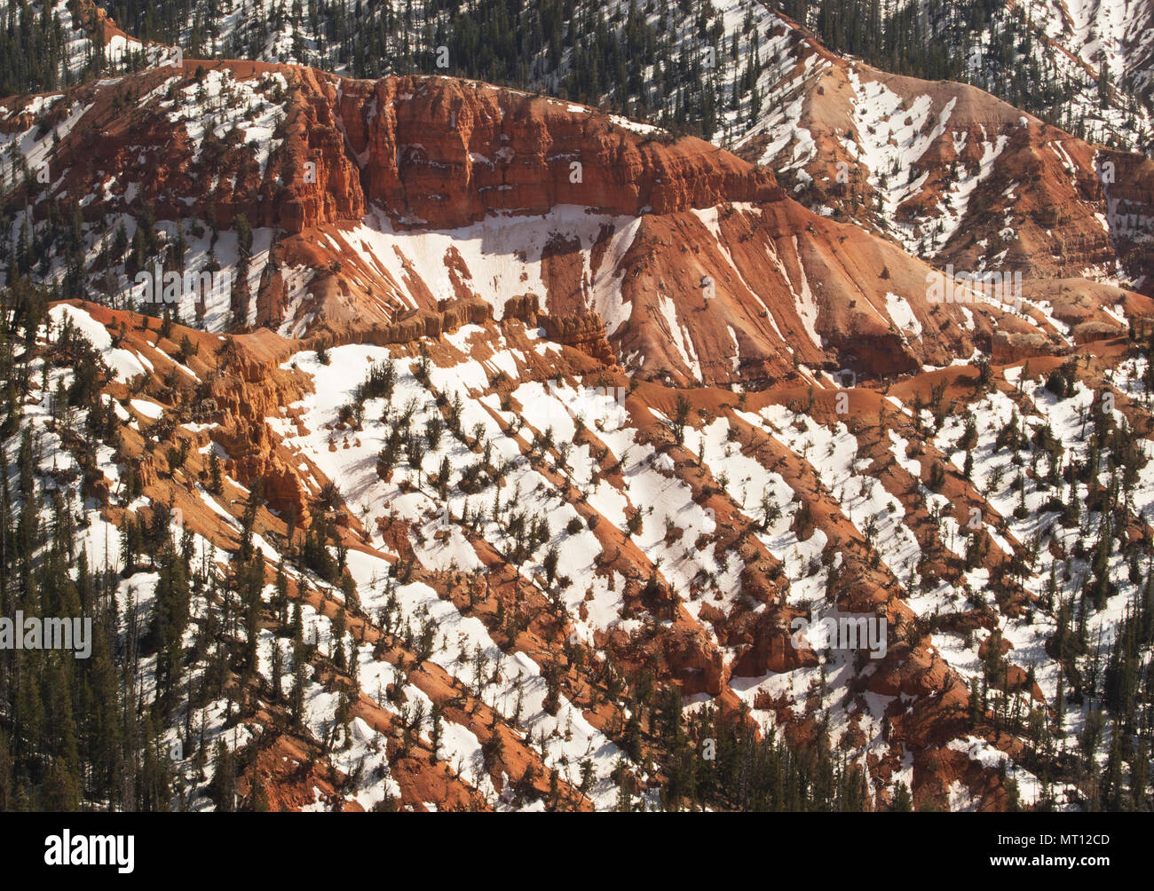 Lingering snow, Cedar Breaks National Monument, Utah Stock Photo
