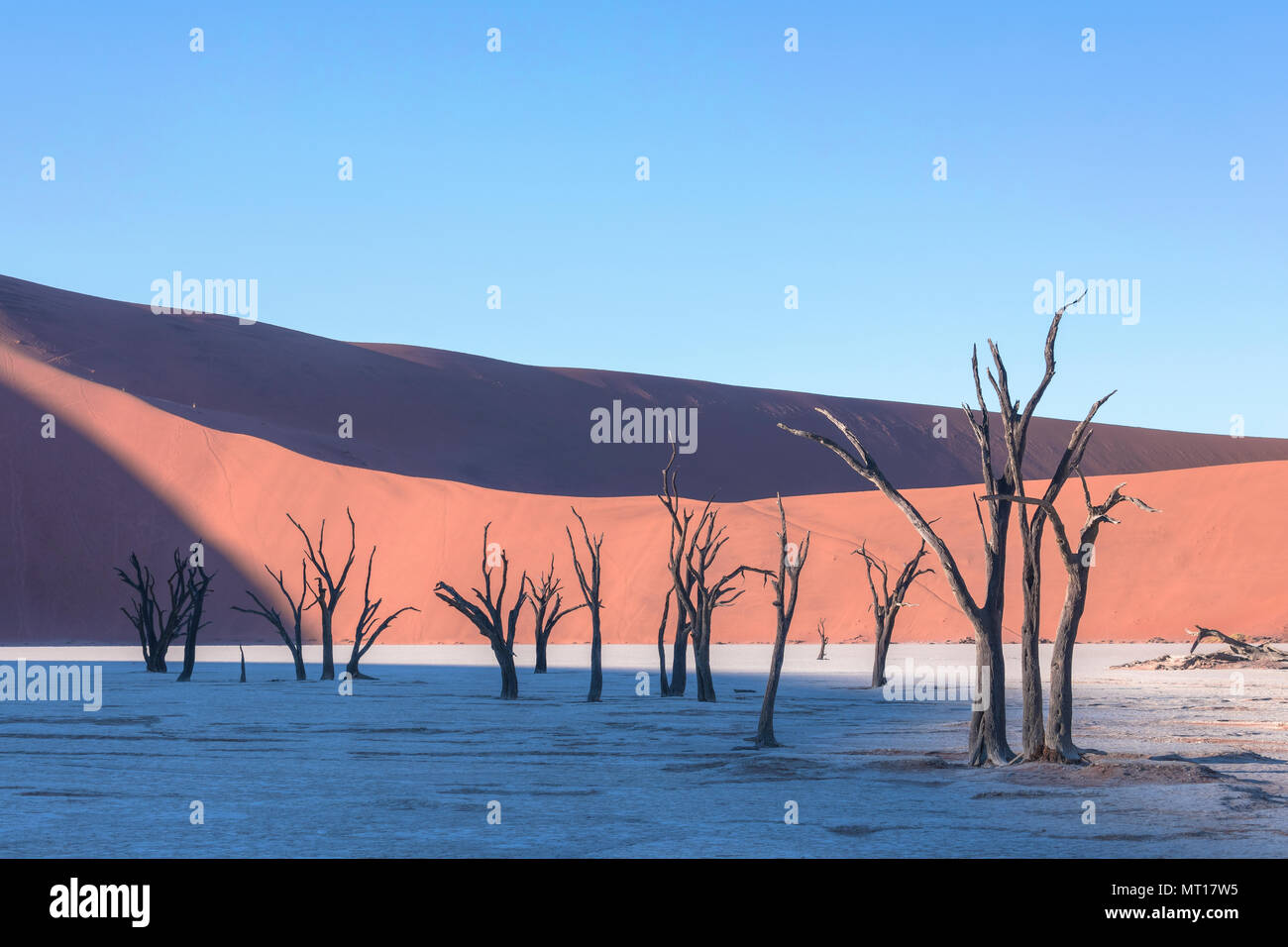 Sunrise deadvlei namibia hi-res stock photography and images - Alamy
