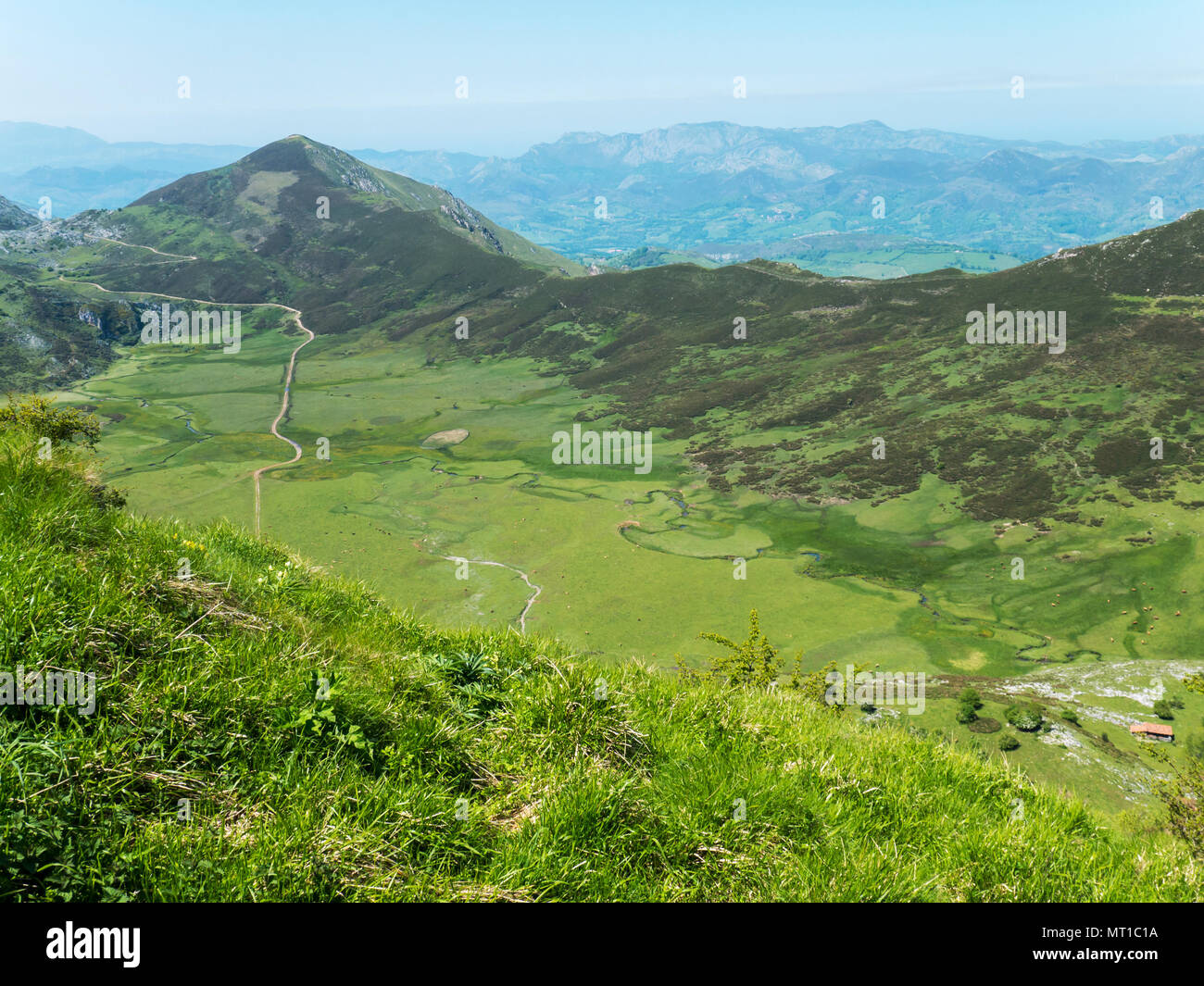 Green pasture in the Picos de Europa national park, Spain, Asturias. Mountain meadows landscape. Stock Photo