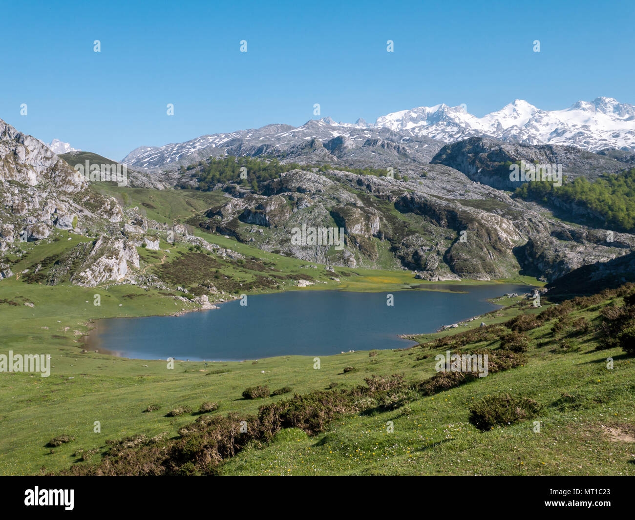 View from above to the Ercina mountain lake near Covadonga, Asturias, Spain. Spring in the mountains and snow peaks. Stock Photo