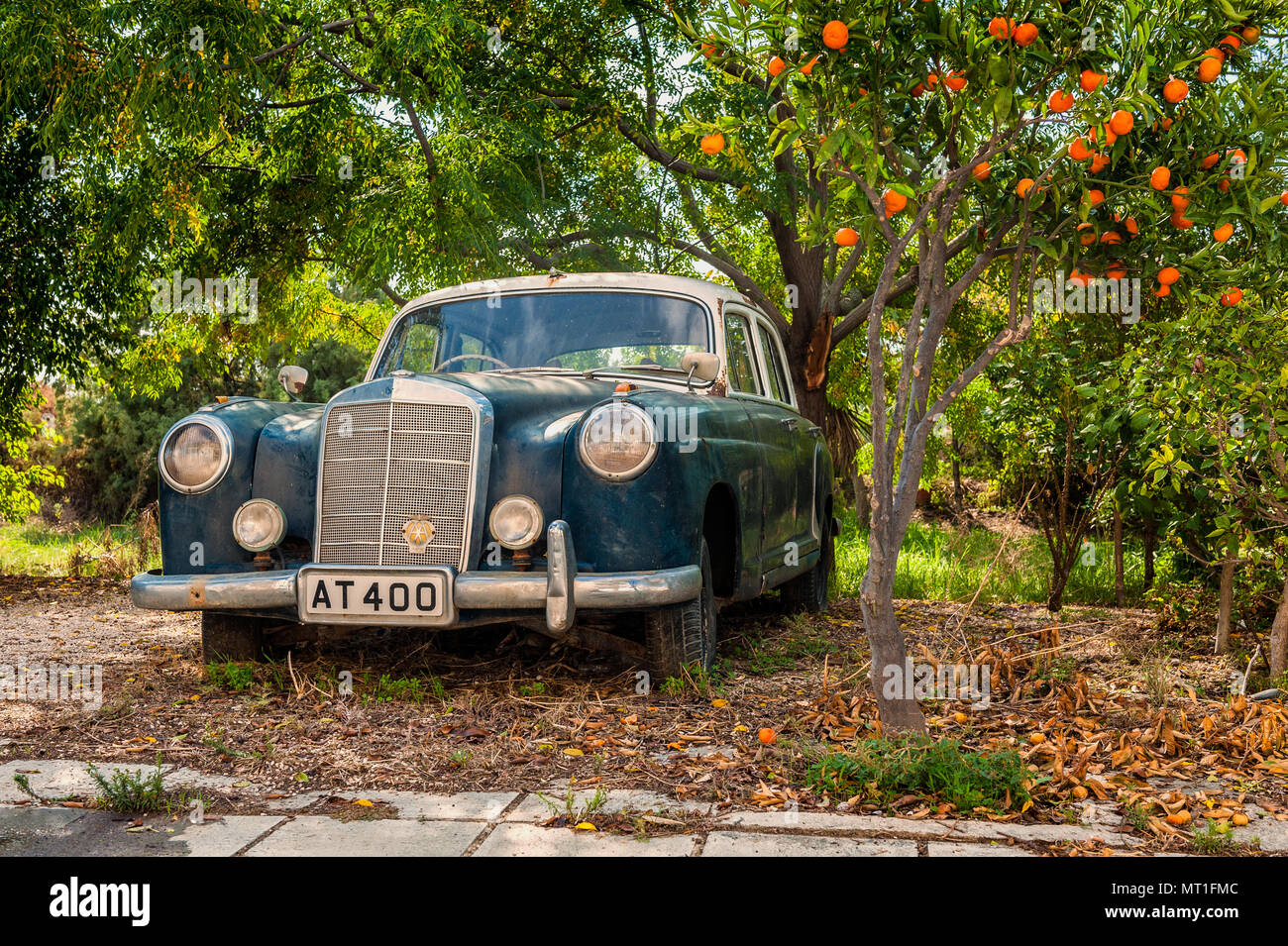 Mercedes-Benz W180 Old timer underneath an Orange Tree in Larnaca, Cyprus. The Mercedes-Benz W180 was made from 1954 to 1959. Stock Photo