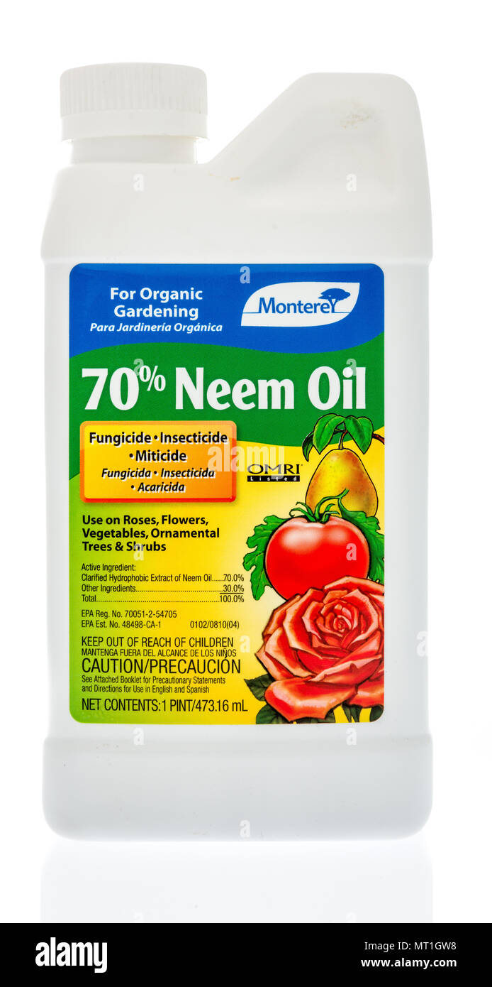 Winneconne - 3 May 2018: A bottle of Montere 70% neem oil for organic gardening on an isolated background. Stock Photo