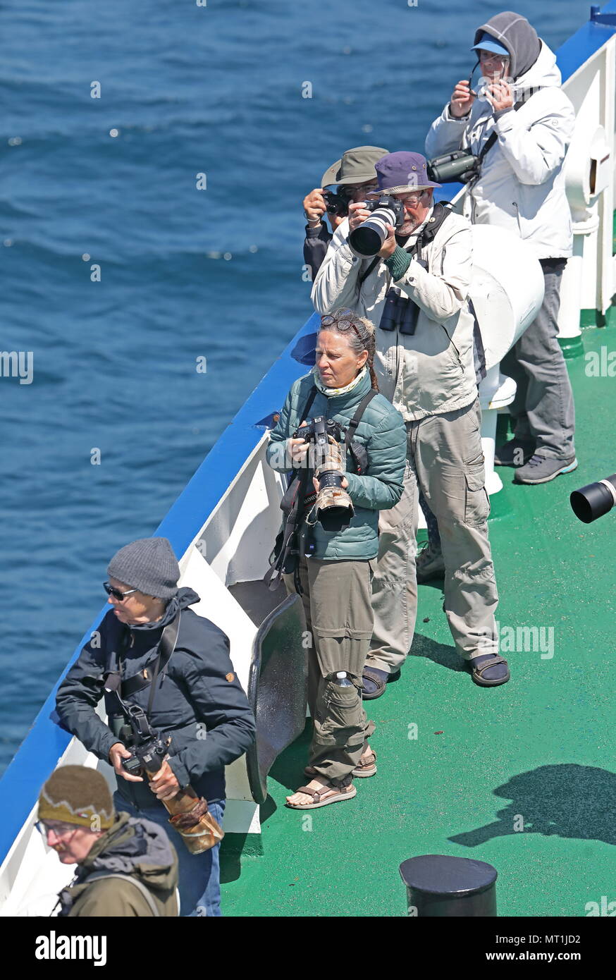 ecotourists watching wildlife from ship  At sea, Bay of Biscay                  May Stock Photo