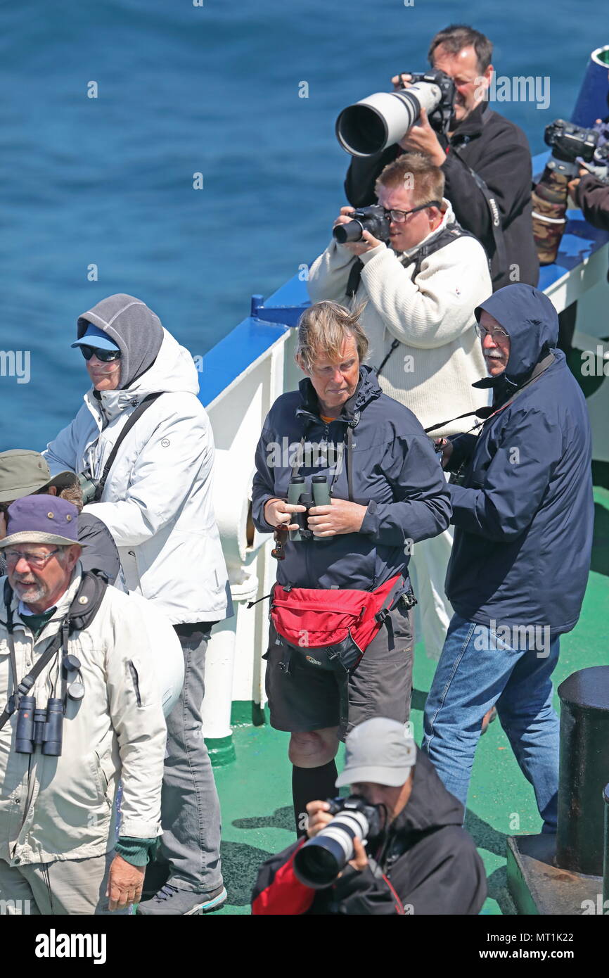 ecotourists watching wildlife from ship  At sea, Bay of Biscay                  May Stock Photo