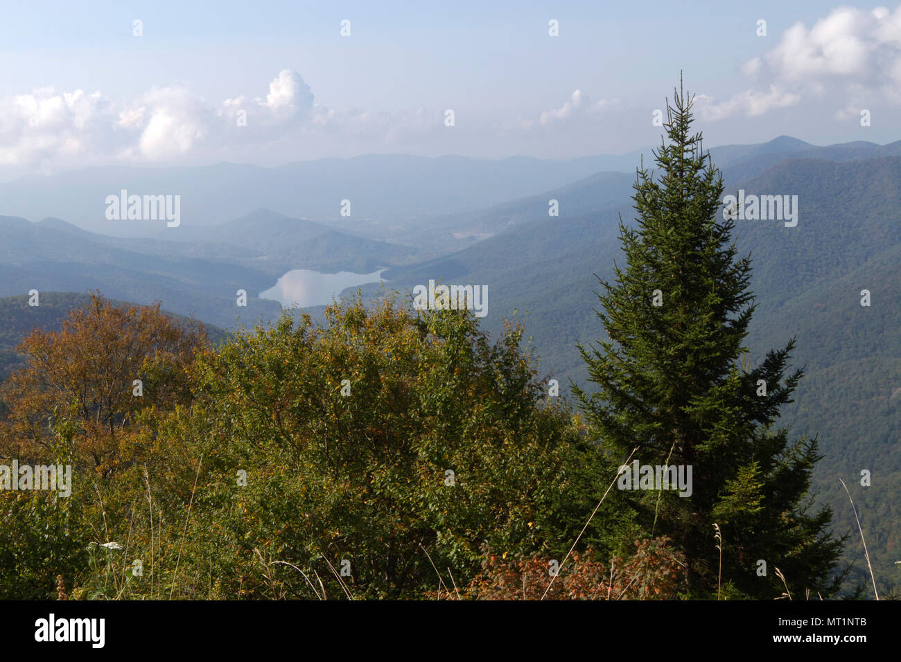 Appalachian Mountain wilderness high elevation view from Mount Mitchell State Park in North Carolina, the highest peak of the Appalachian Mountains an Stock Photo
