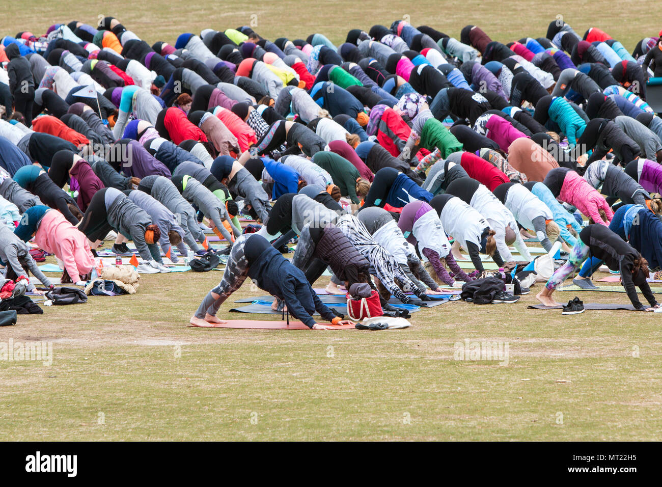 Dozens of people do downward facing dog pose as they take part in a massive group yoga class in Piedmont Park in Atlanta, GA, on April 8, 2018. Stock Photo