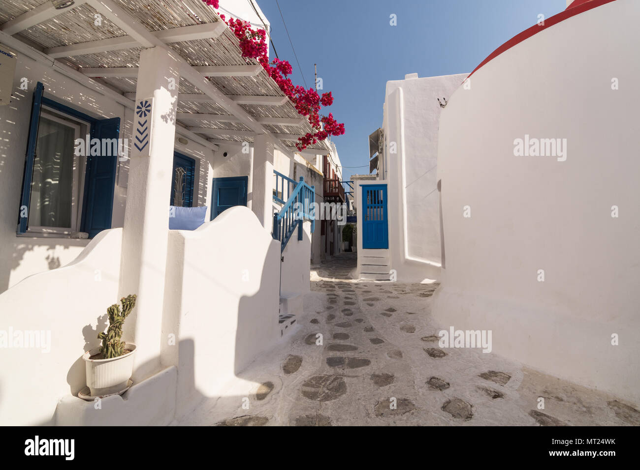 MYKONOS, GREECE - MAY 2018: View over the old street in Mykonos town district Little Venice with stony pavement, traditional houses and bush in blosso Stock Photo