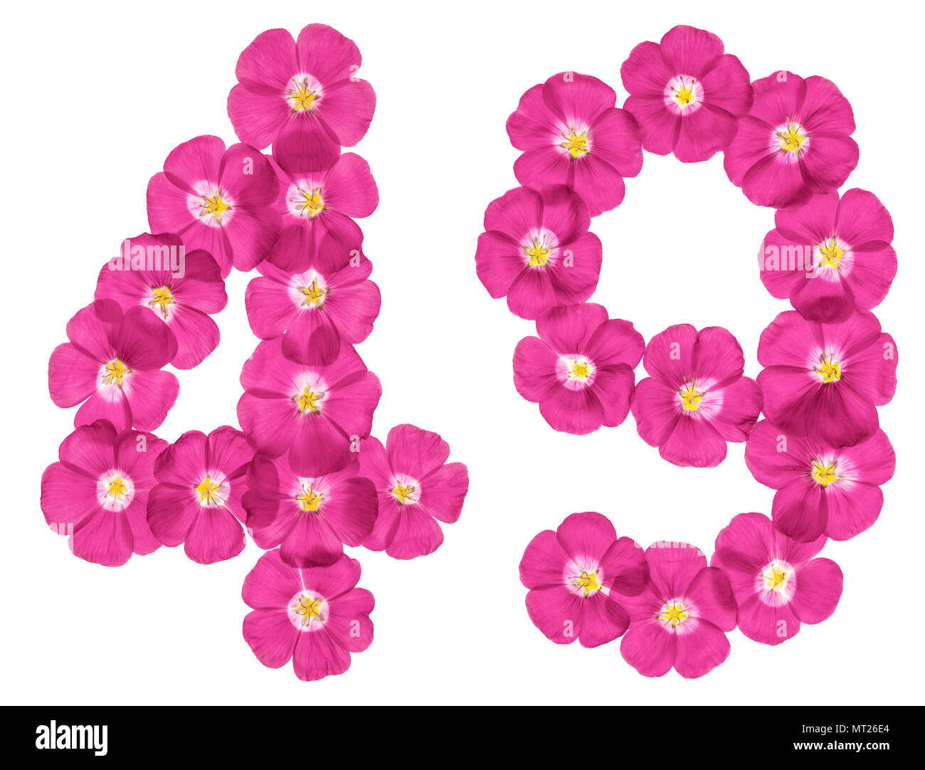 Arabic numeral 49, forty nine, from pink flowers of flax, isolated on