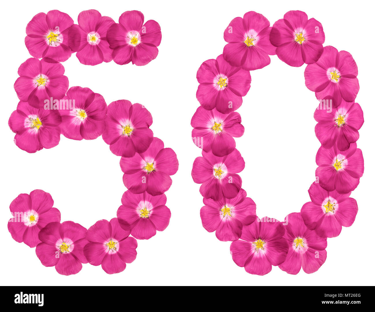Arabic numeral 50, fifty, from pink flowers of flax, isolated on white