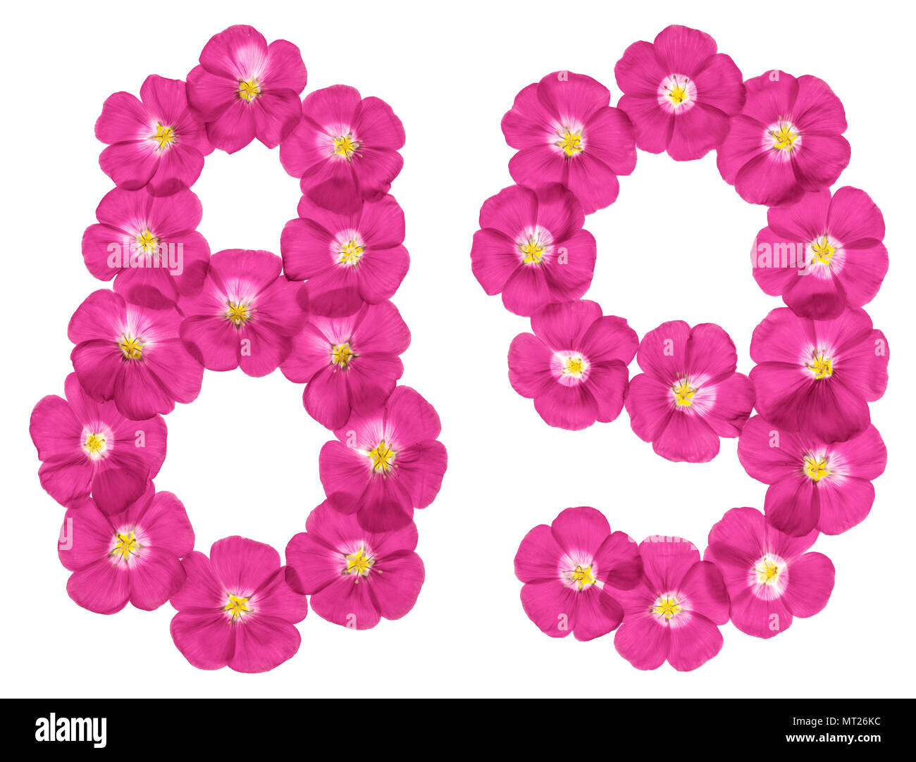 Arabic numeral 89, eighty nine, from pink flowers of flax, isolated on ...